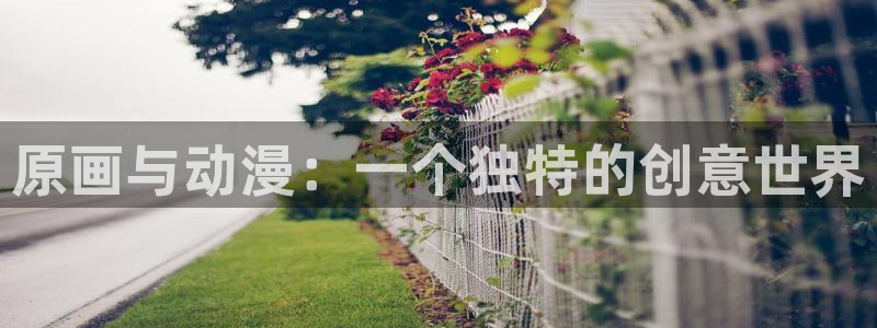 58动漫在线看